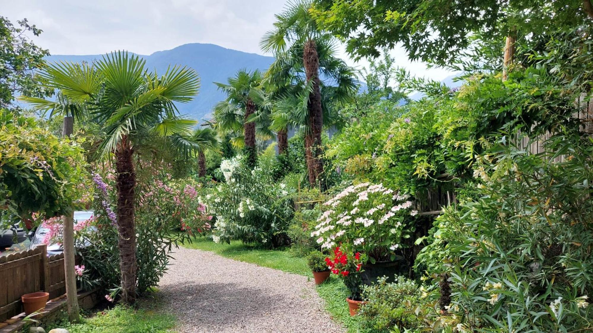 Nora S Home 2 - Panoramic Terrace & Bio Garden Merano Eksteriør bilde